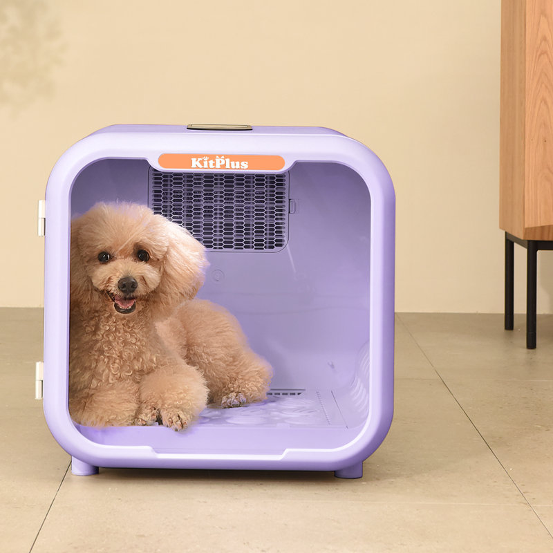 Dog crate dryer best sale